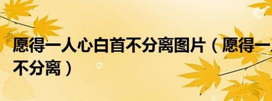 愿得一人心白首不分离图片（愿得一人心白首不分离）