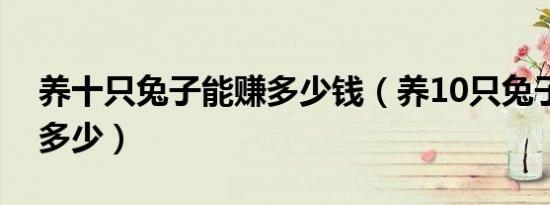 养十只兔子能赚多少钱（养10只兔子一年赚多少）