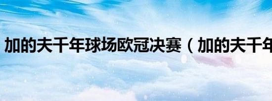 加的夫千年球场欧冠决赛（加的夫千年球场）