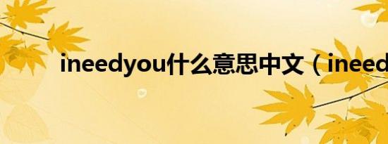 ineedyou什么意思中文（ineed）