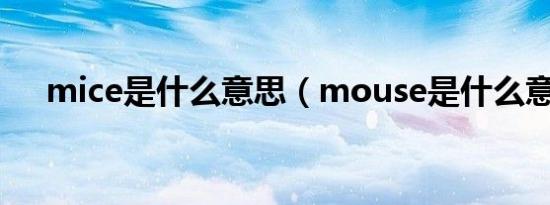 mice是什么意思（mouse是什么意思）