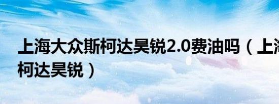 上海大众斯柯达昊锐2.0费油吗（上海大众斯柯达昊锐）