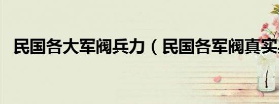 民国各大军阀兵力（民国各军阀真实兵力）