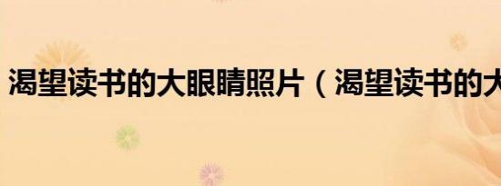 渴望读书的大眼睛照片（渴望读书的大眼睛）
