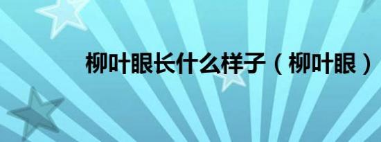 柳叶眼长什么样子（柳叶眼）