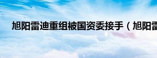 旭阳雷迪重组被国资委接手（旭阳雷迪）