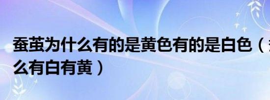 蚕茧为什么有的是黄色有的是白色（蚕茧为什么有白有黄）