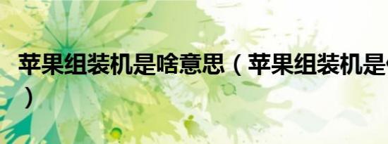 苹果组装机是啥意思（苹果组装机是什么系统）