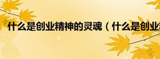 什么是创业精神的灵魂（什么是创业精神）