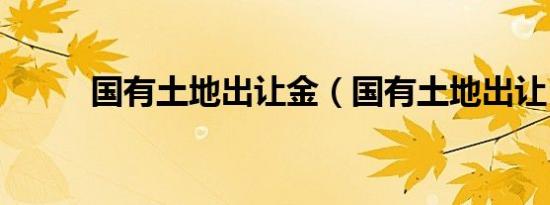 国有土地出让金（国有土地出让）