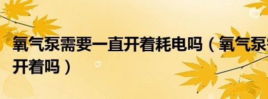 氧气泵需要一直开着耗电吗（氧气泵需要一直开着吗）