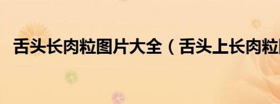 舌头长肉粒图片大全（舌头上长肉粒图片）