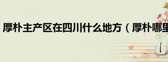 厚朴主产区在四川什么地方（厚朴哪里最好）