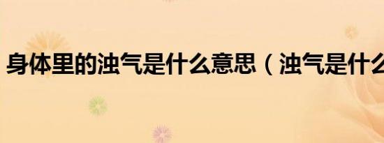 身体里的浊气是什么意思（浊气是什么意思）