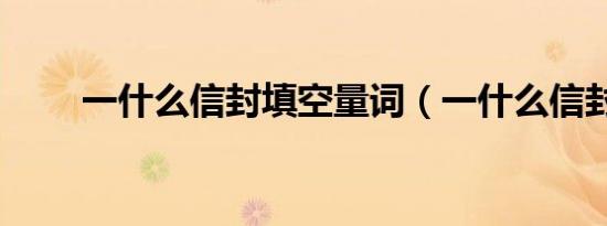一什么信封填空量词（一什么信封）