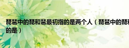琵琶中的琵和琶最初指的是两个人（琵琶中的琵和琶最初指的是）