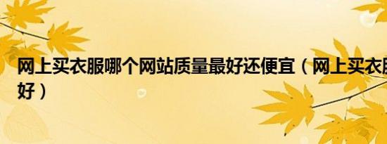 网上买衣服哪个网站质量最好还便宜（网上买衣服哪个网站好）