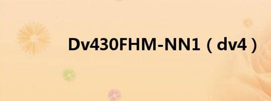 Dv430FHM-NN1（dv4）