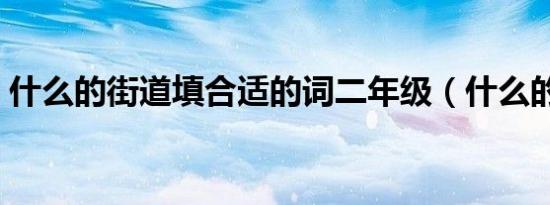 什么的街道填合适的词二年级（什么的街道）