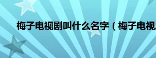梅子电视剧叫什么名字（梅子电视剧）