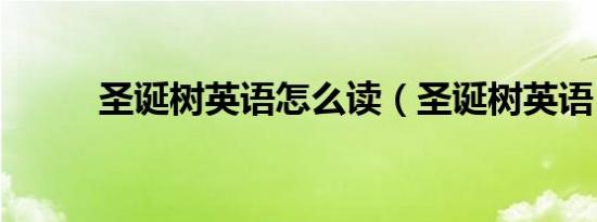圣诞树英语怎么读（圣诞树英语）