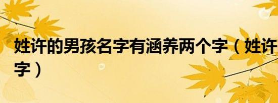 姓许的男孩名字有涵养两个字（姓许的男孩名字）
