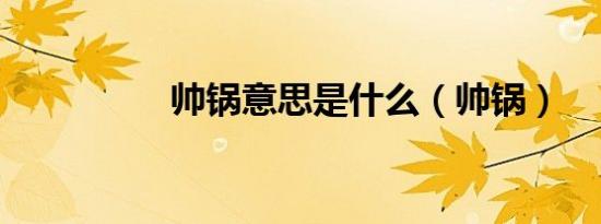 帅锅意思是什么（帅锅）