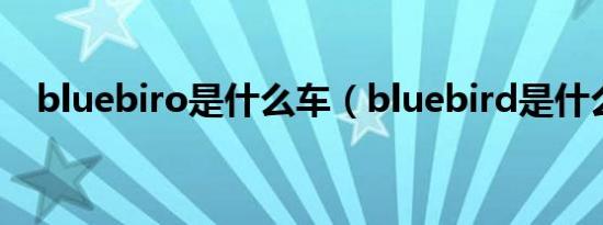 bluebiro是什么车（bluebird是什么车）