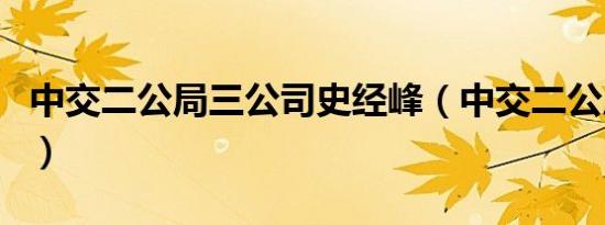 中交二公局三公司史经峰（中交二公局三公司）