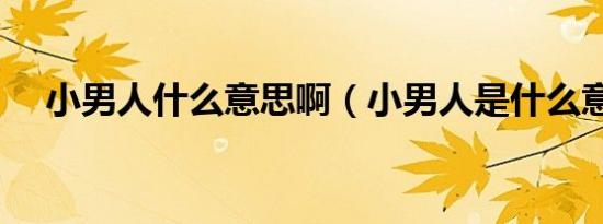 小男人什么意思啊（小男人是什么意思）