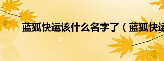 蓝狐快运该什么名字了（蓝狐快运）