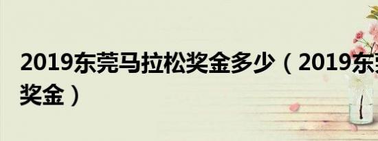 2019东莞马拉松奖金多少（2019东莞马拉松奖金）