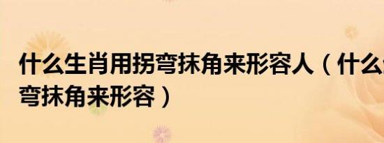 什么生肖用拐弯抹角来形容人（什么生肖用拐弯抹角来形容）