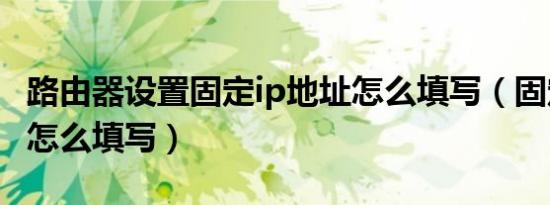 路由器设置固定ip地址怎么填写（固定ip地址怎么填写）