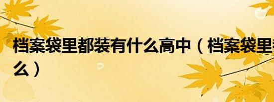 档案袋里都装有什么高中（档案袋里都装有什么）