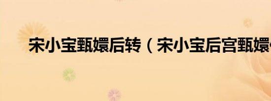 宋小宝甄嬛后转（宋小宝后宫甄嬛传）