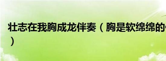 壮志在我胸成龙伴奏（胸是软绵绵的伴奏叫啥）
