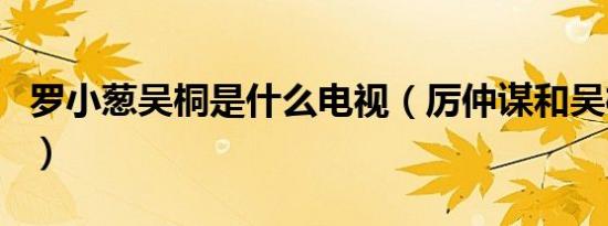 罗小葱吴桐是什么电视（厉仲谋和吴桐电视剧）