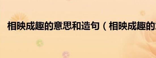 相映成趣的意思和造句（相映成趣的意思）