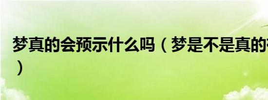 梦真的会预示什么吗（梦是不是真的有所预示）