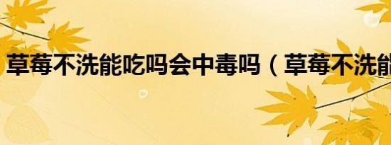 草莓不洗能吃吗会中毒吗（草莓不洗能吃吗）