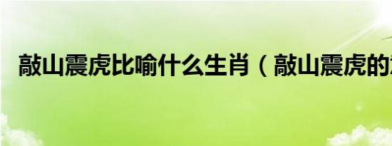 敲山震虎比喻什么生肖（敲山震虎的意思）