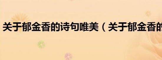 关于郁金香的诗句唯美（关于郁金香的诗句）