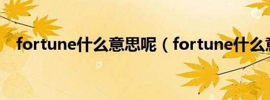 fortune什么意思呢（fortune什么意思）