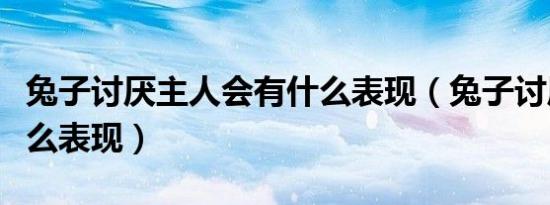 兔子讨厌主人会有什么表现（兔子讨厌主人什么表现）