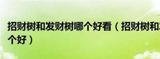 招财树和发财树哪个好看（招财树和发财树哪个好）