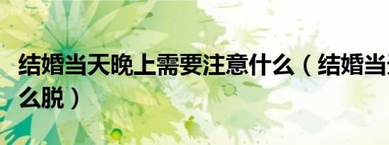 结婚当天晚上需要注意什么（结婚当天晚上怎么脱）