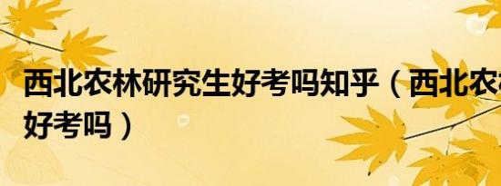 西北农林研究生好考吗知乎（西北农林研究生好考吗）