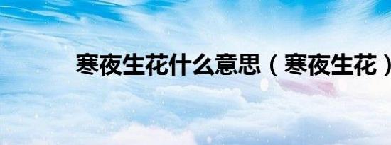 寒夜生花什么意思（寒夜生花）