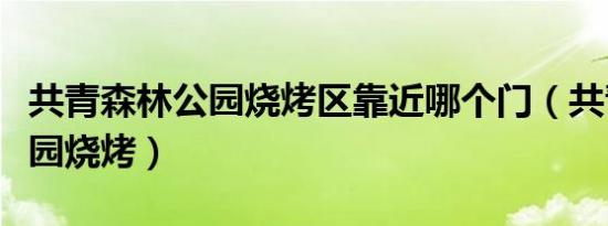 共青森林公园烧烤区靠近哪个门（共青森林公园烧烤）